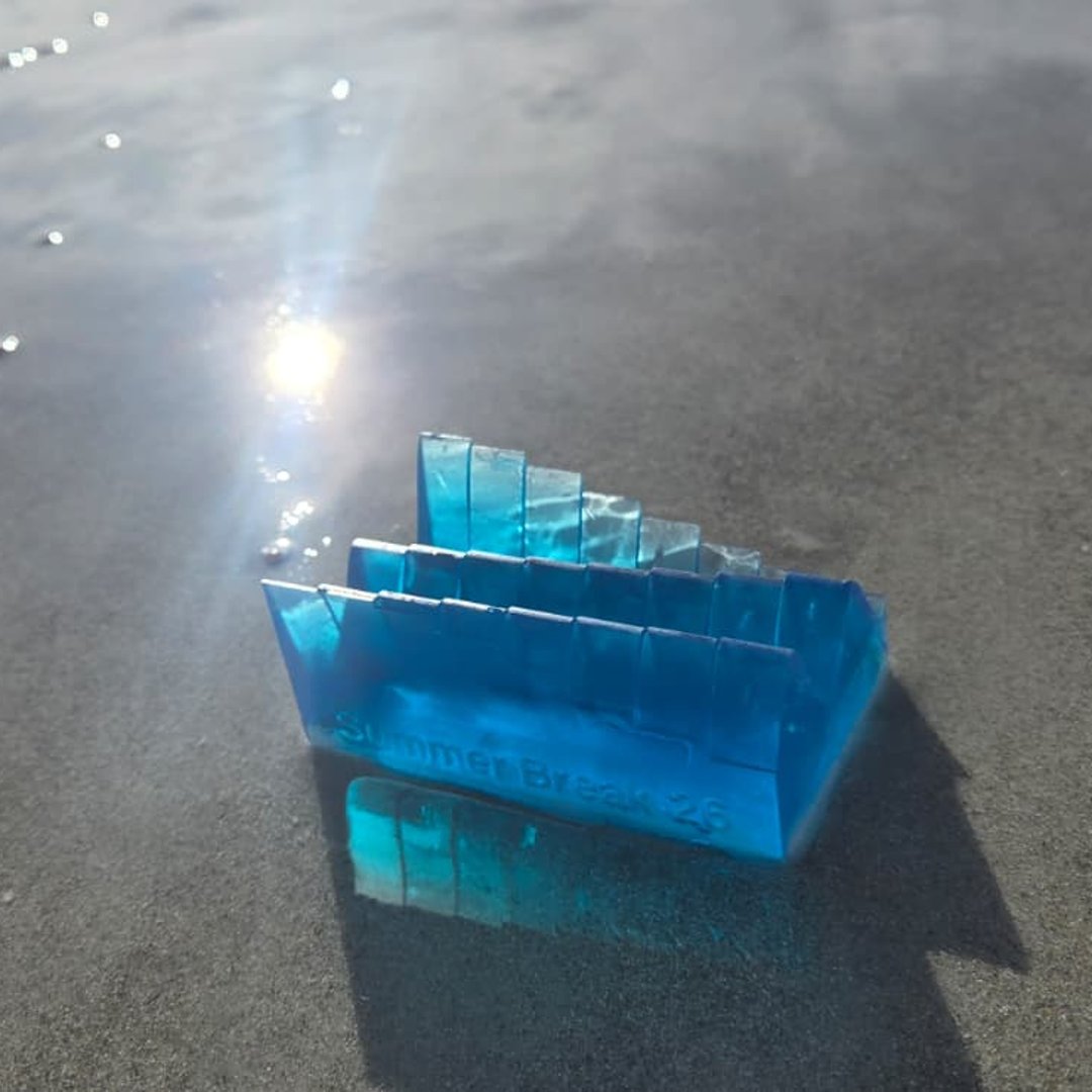 Tide keepsake on the shoreline with the ocean behind